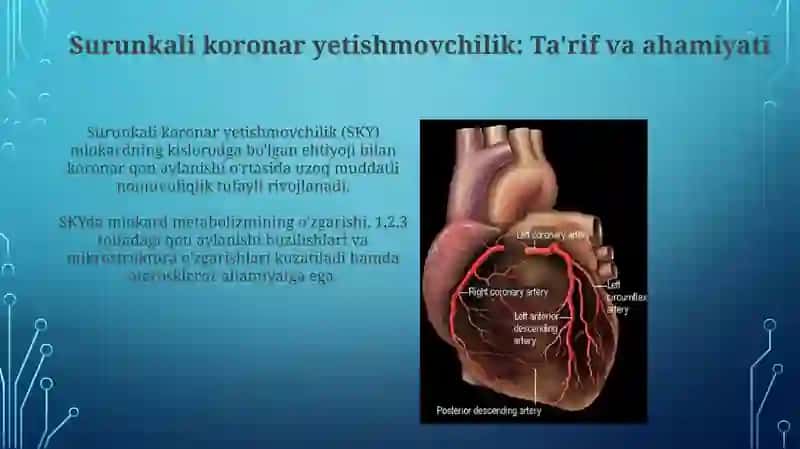 Mutloq toj tomir yetishmovchiligi patofiziologiyasi 3