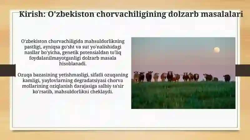 O'zbekiston chorvachiligini barqaror rivojlantirish 3