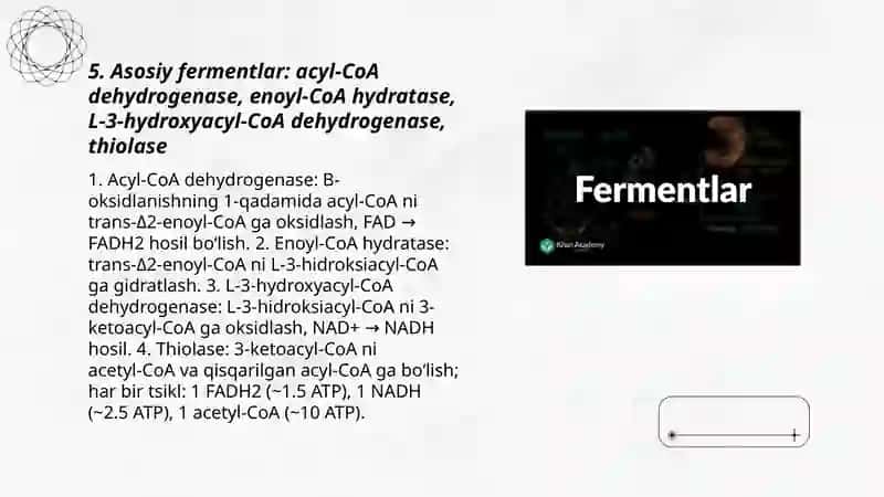 Fermentlar biokimyosi 3