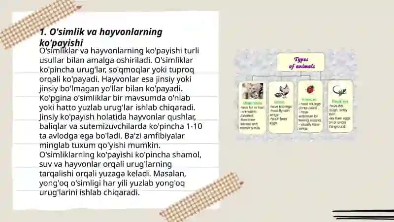 O'simlik va hayvonlarning o'xshashlik va farqlari 3