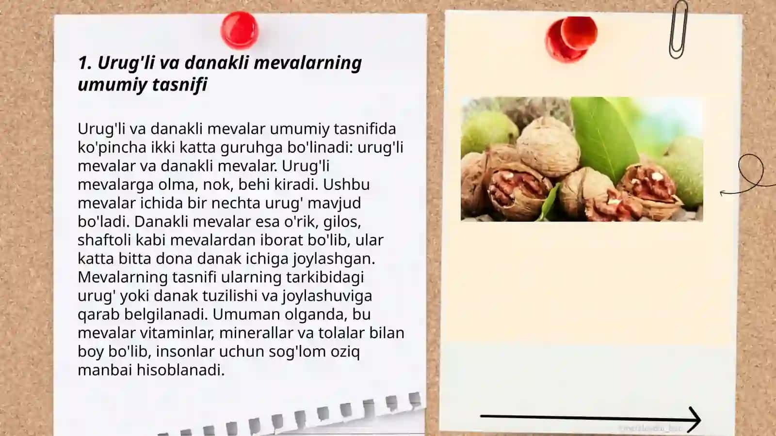 Yong’oq morfologiyasi, rivojlanishi 3