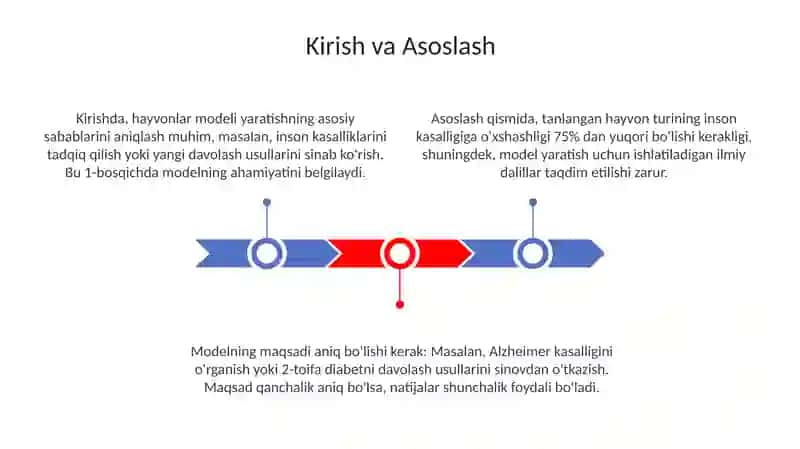 Hayvon modelini yasash 3