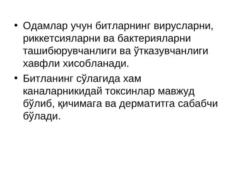 Битлаш 3