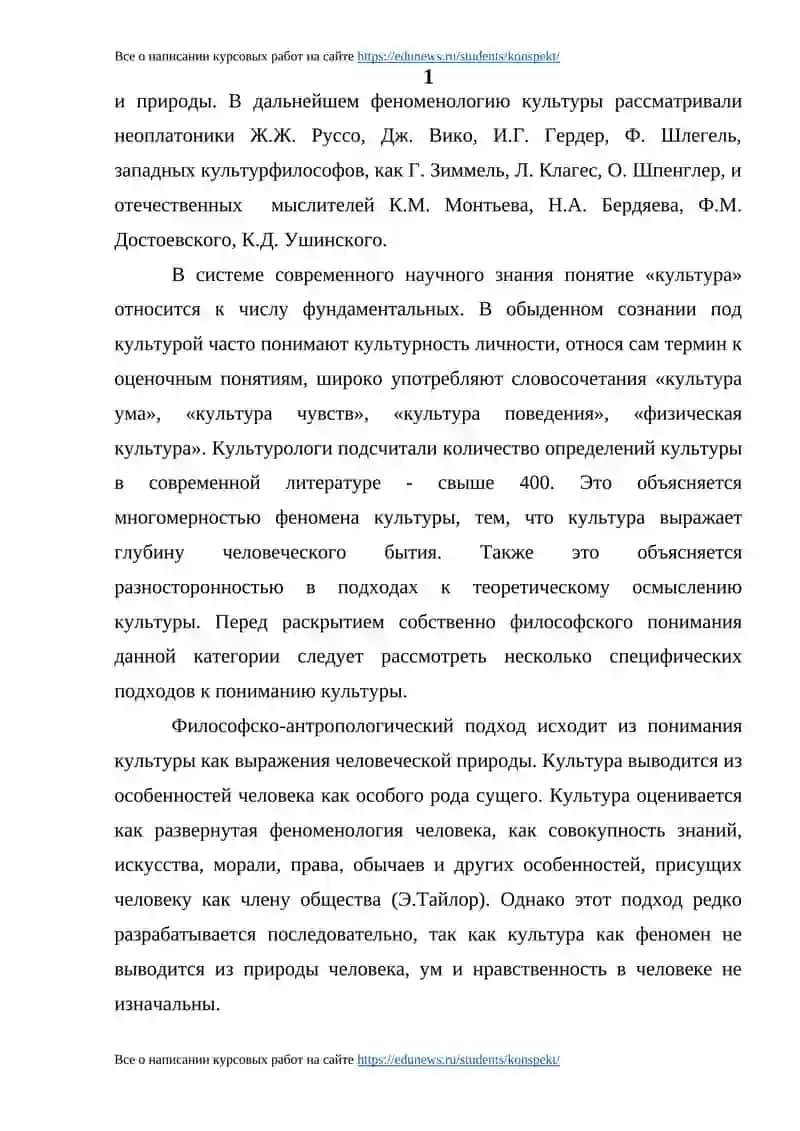 Анализ феномена культуры в философских воззрениях 3