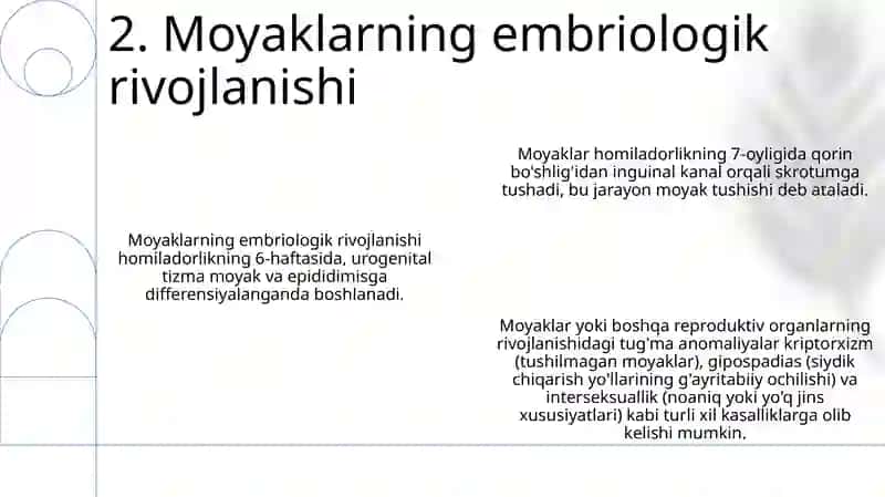 Moyakning Yorg'Aqqa Tushish Jarayoni Va Jinsiy A'Zolarning Rivojlanish Nuqsonlari 3