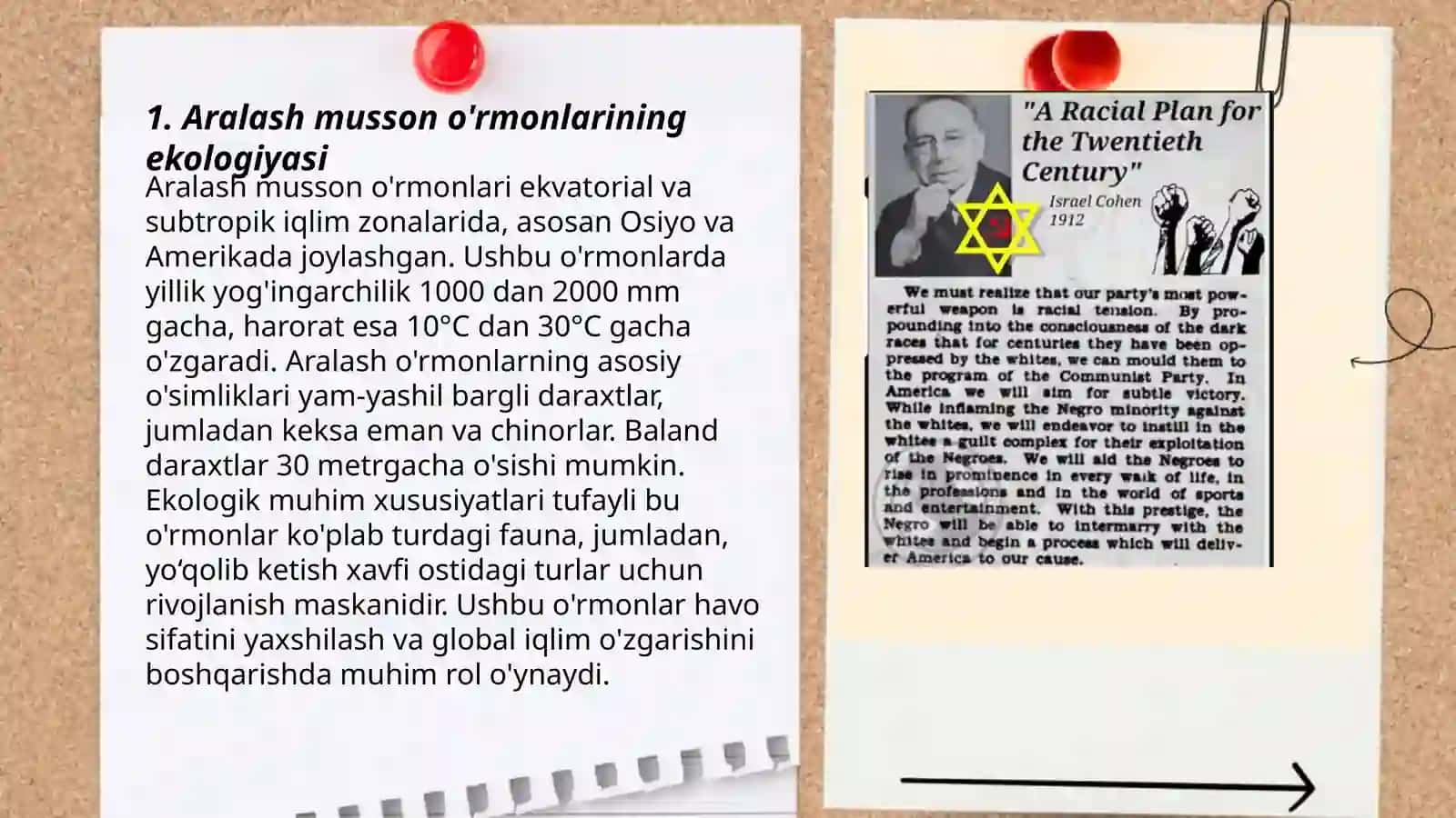 Aralash musson o'rmonlar zonasini o'rganish metodikasi 3