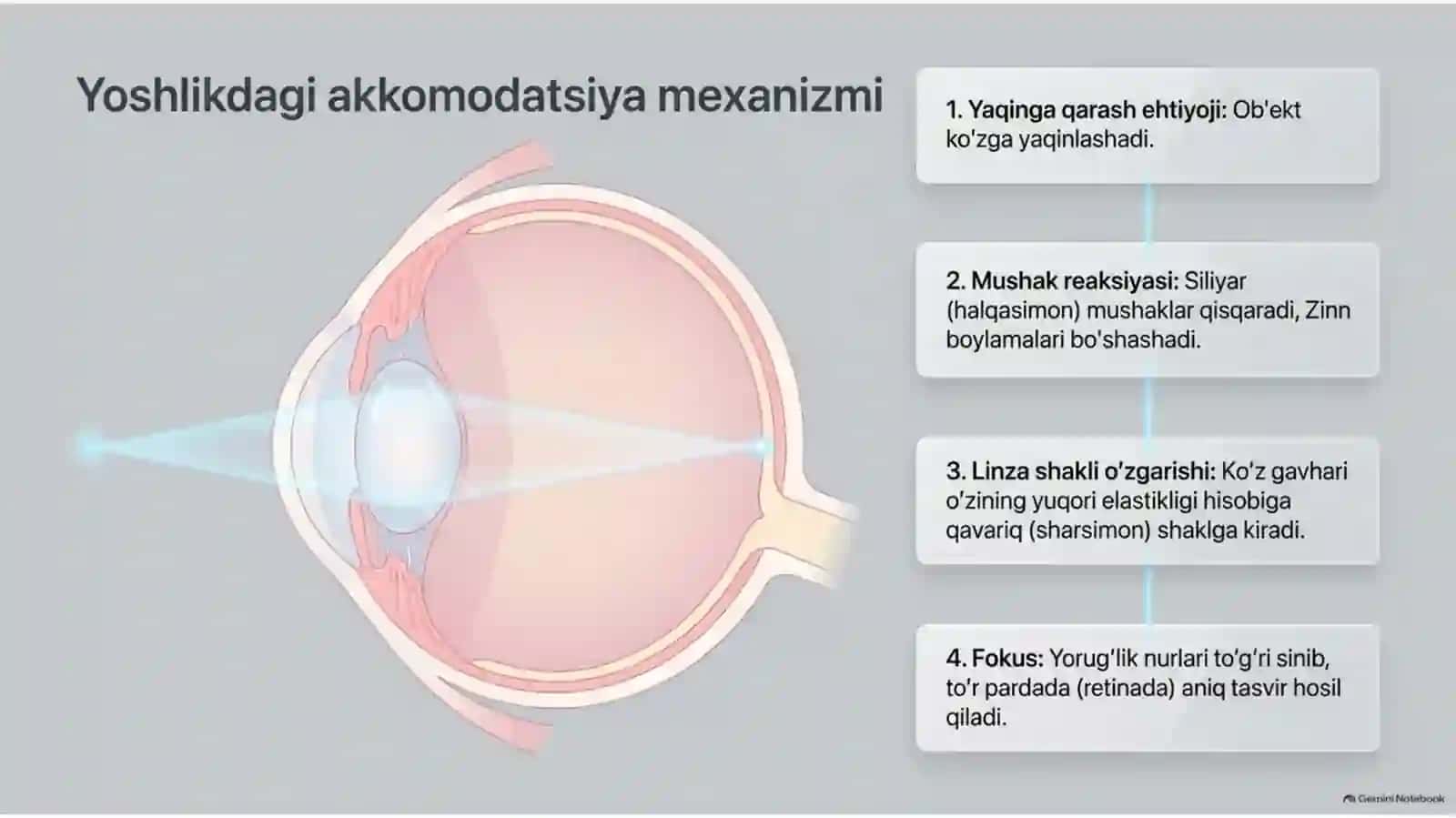 Presbiopiya — sabablari, klinikasi, diagnostikasi va davolash | 15 slayd 3