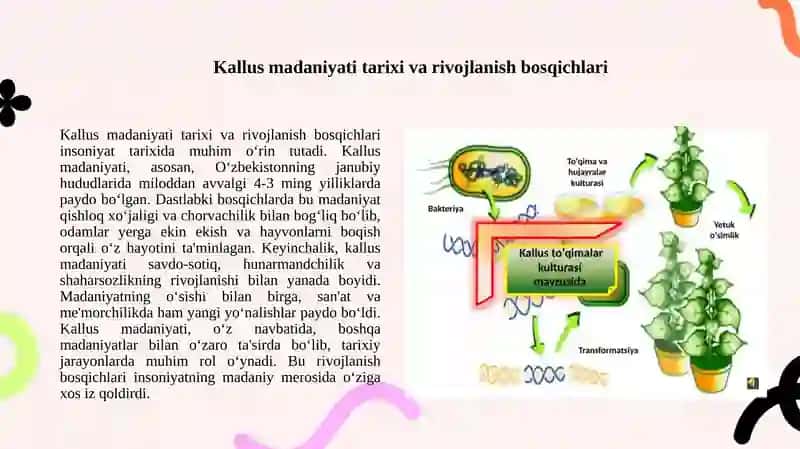Kallus madaniyati 3