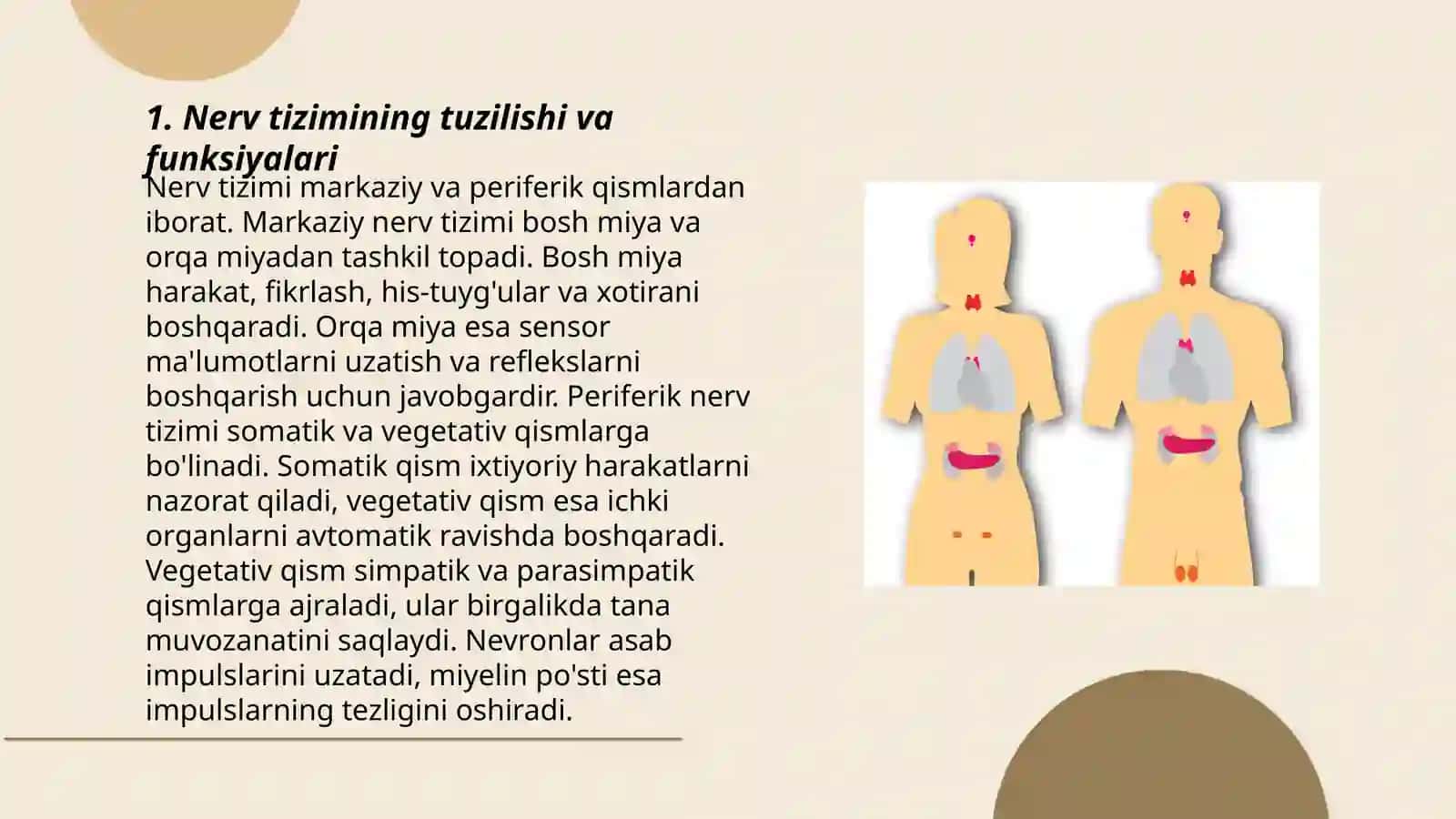 Organizmning nerv immun endokrin boshqariluvi 3