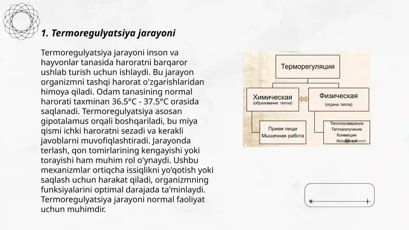 Termoregulyatsiya 3