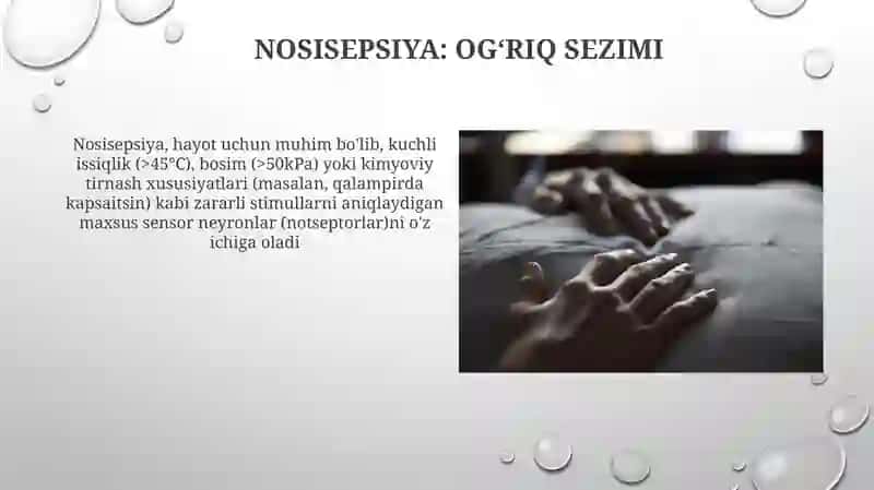 Nosisepsiya: Ogʻriq Sezimi 3