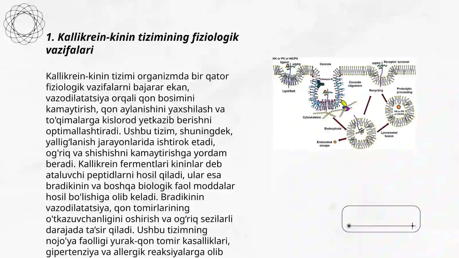 Kallikrein-kinin tizimi Klinik ahamiyati 3