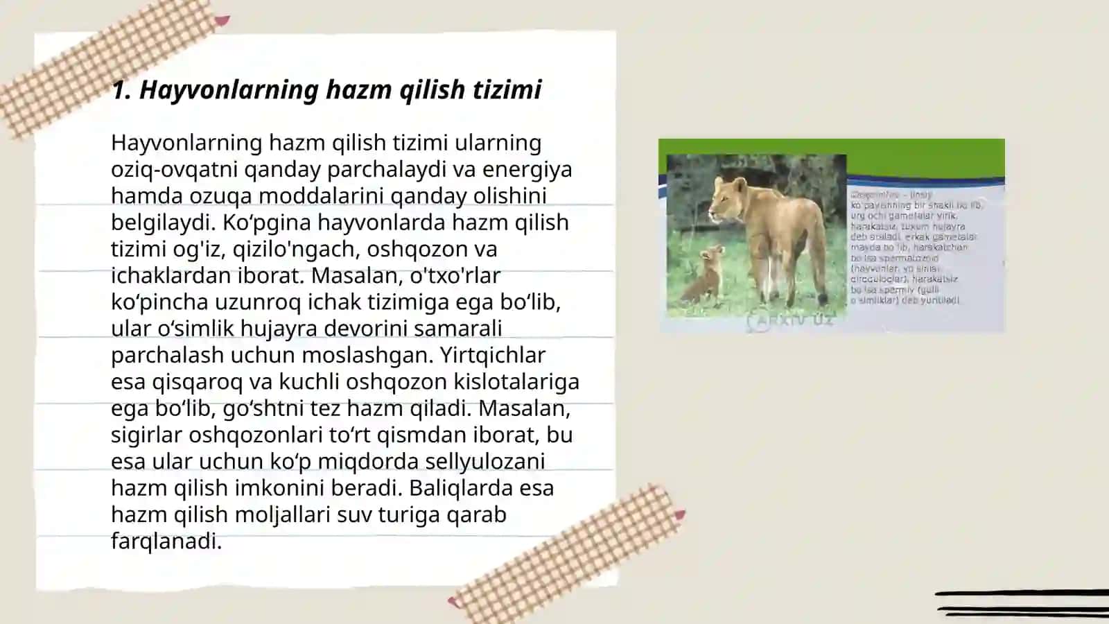 Hayvonlarning hazm qilish organlari 3