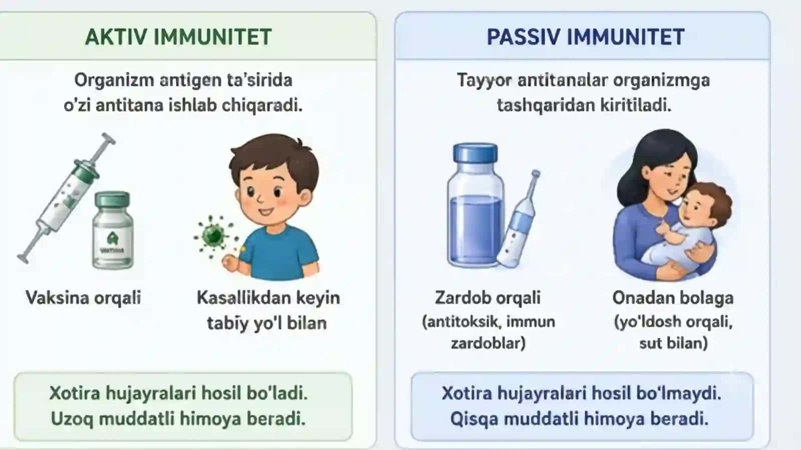 IMMUNITET HAQIDA TUSHUNCHA | Immun tizimi, turlari va organizm himoyasi | 15 slaydli taqdimot 3