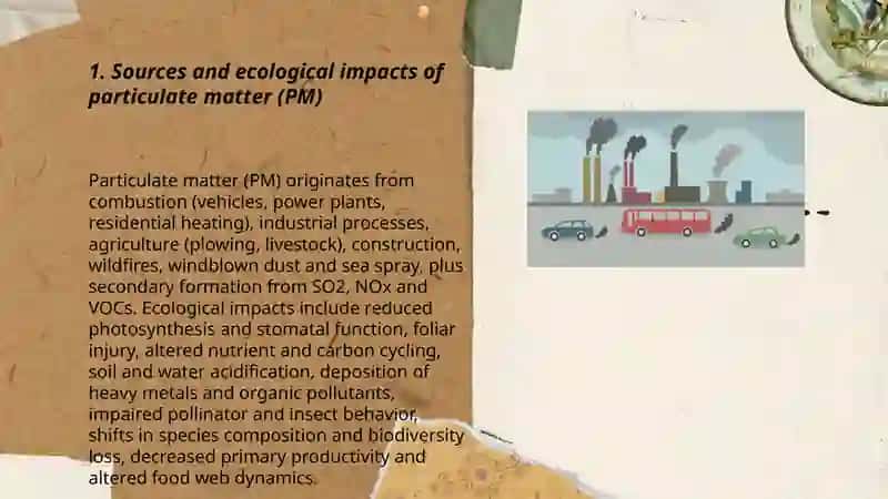 Ecology and Air Pollution Girls Team 3