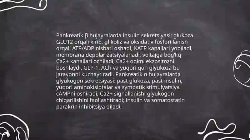 Odam organizmida kechadigan metabolik jarayonlarda insulin va glyukogonning roli 3