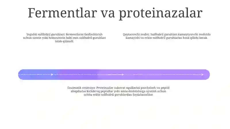 Proteinaza Fermentining Sulfogidril Birikmalar Yordamida Aktivlanishi 3
