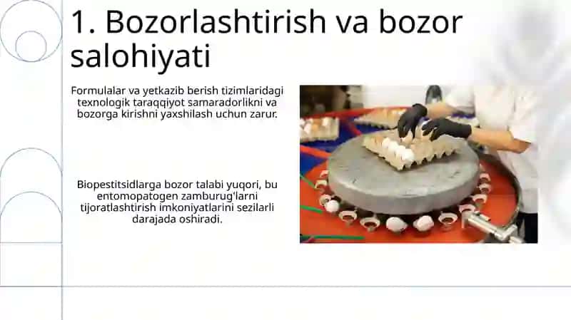 Zamburugʻli entomopatogen preparatlar olish texnologiyasi 3