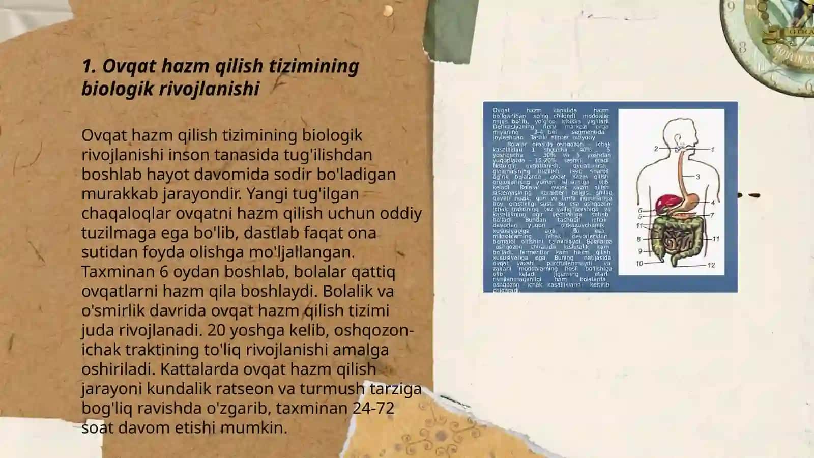 Ovqat hazm qilish tizimining yosh xususiyatlari.Ovqat hazm qilish gigiyenasi 3