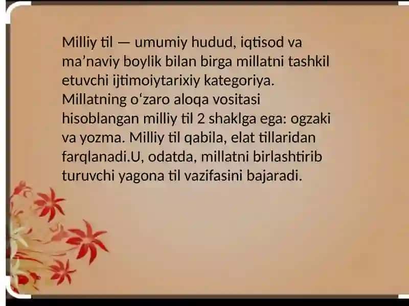 Milliy va adabiy til 3
