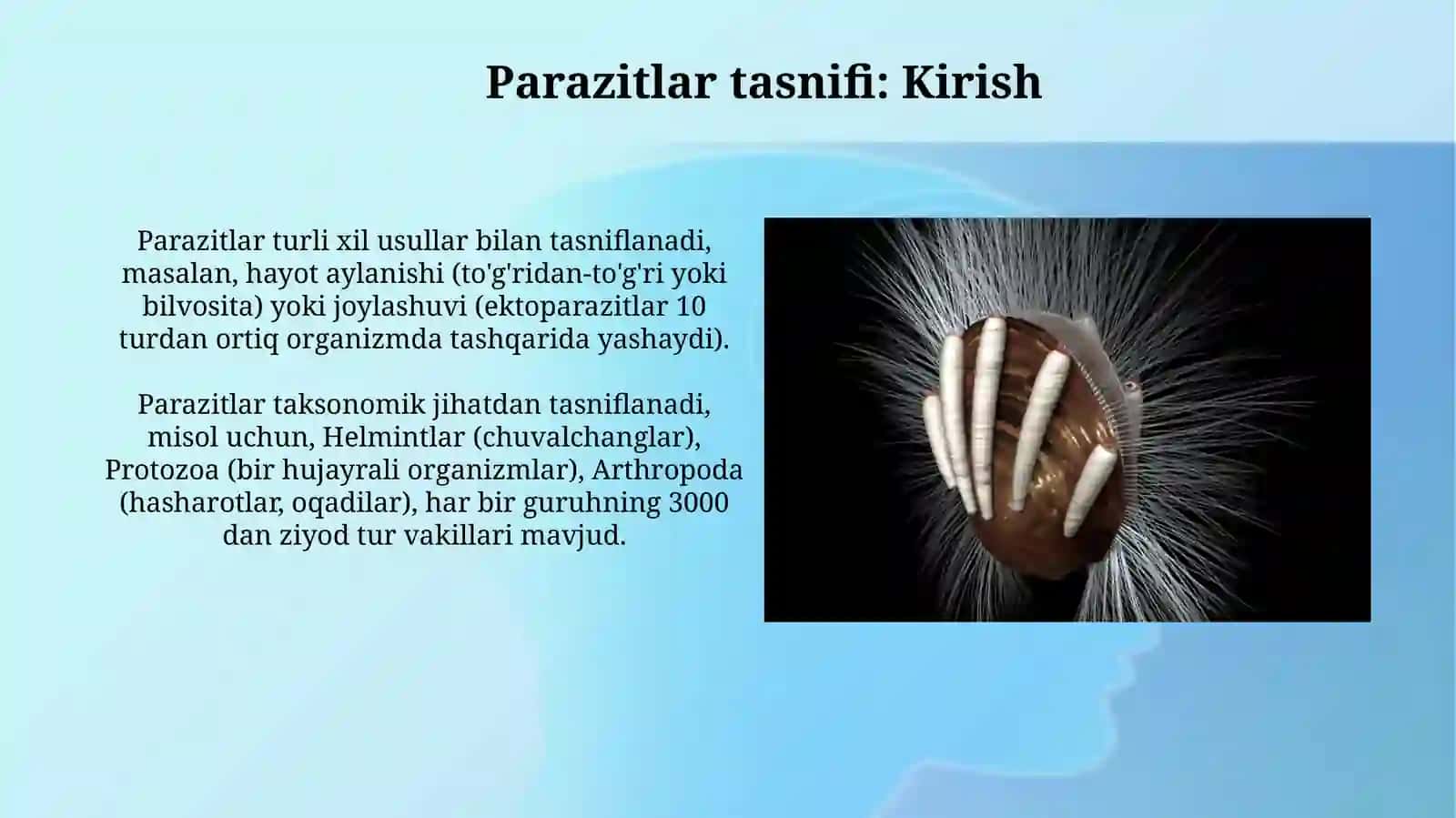 Parazitlar klassifikatsiyasi, parazitizmning kelib chiqishi 3