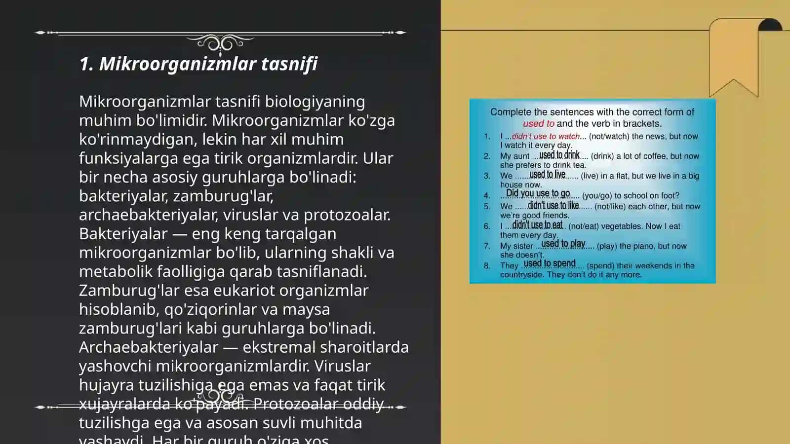 Mikroorganizmlarning asosiy guruhlarining umumiy tavsifi 3