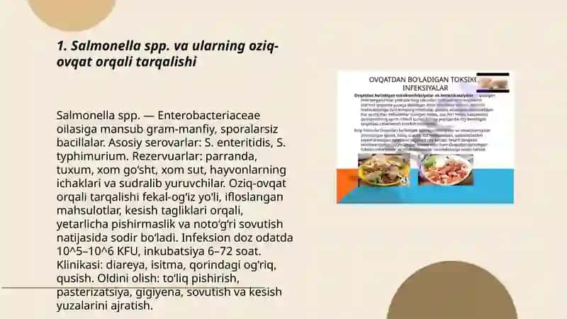 Salmonella spp. va ularning oziq-ovqat orqali tarqalishi 3