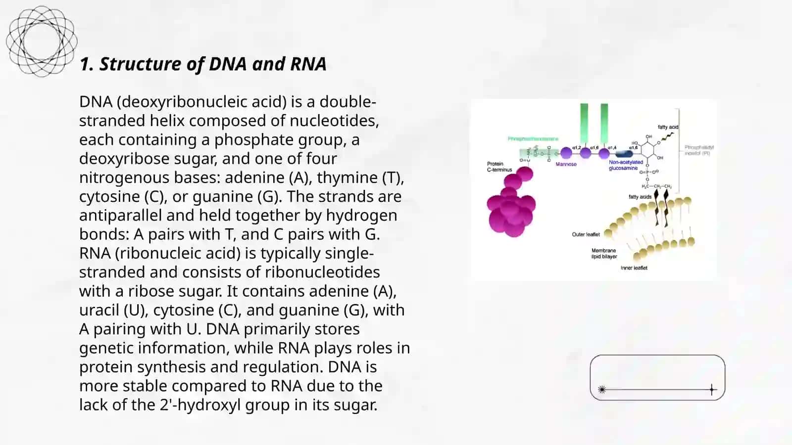 Mavzu: Nuklein asitlarning protein biosentez bo'yicha roli 3