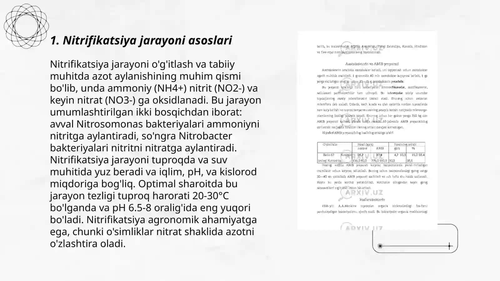 Nitrifikatsiya jarayoni va bu jaryonni amalga oshiruvchi mikroorganizmlar tahlili 3