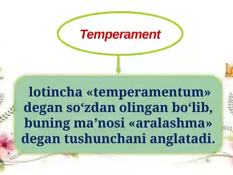 Temperament VA XARAKTER 3