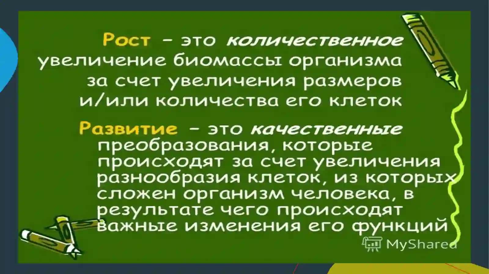 Рост и развитие детей дошкольного возраста 3