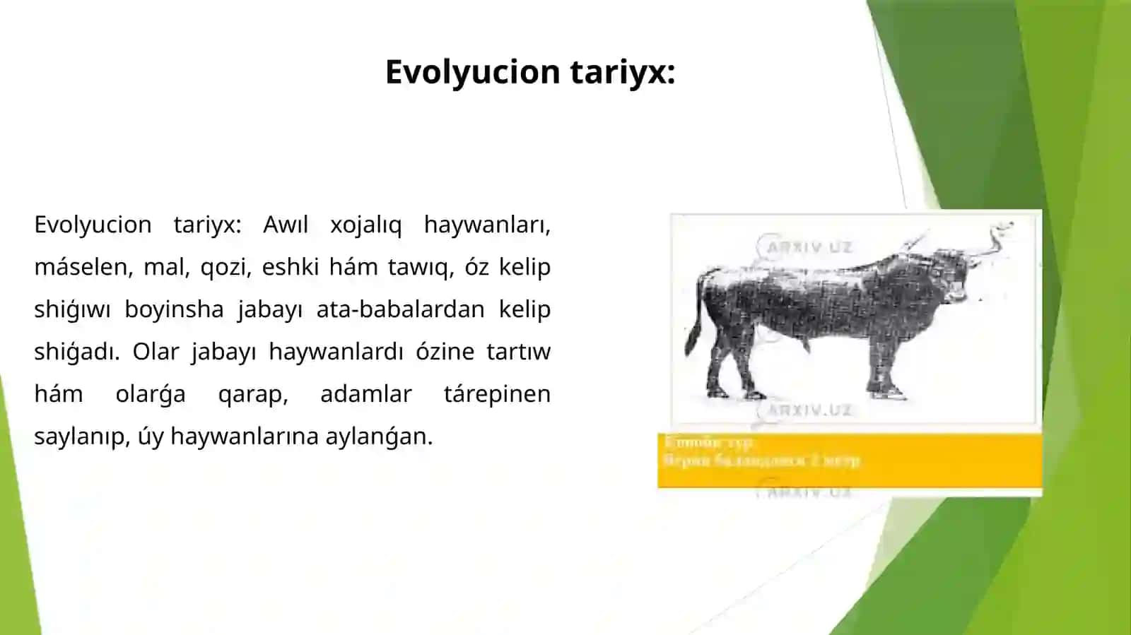 Awılxojalıǵı haywanlarınıń kelipshıǵıwına qarap bahalaw 3
