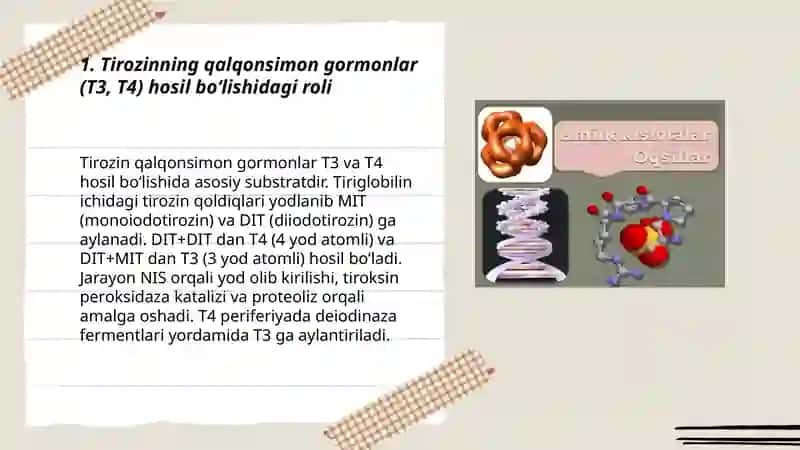Alfa aminokislotalar kofermentlar gormonlar va vitaminlar tarkibiy qismi sifatida 3
