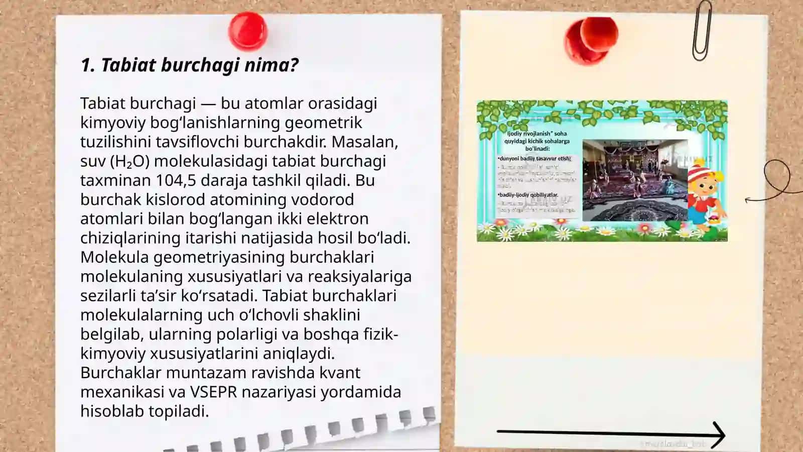 Tabiat burchagi 3