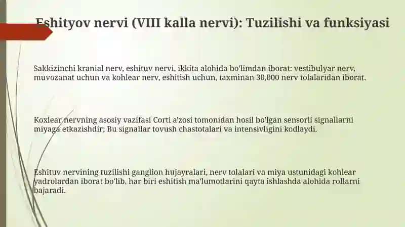 Eshitish organi innervatsiyasining xususiyatlari 3