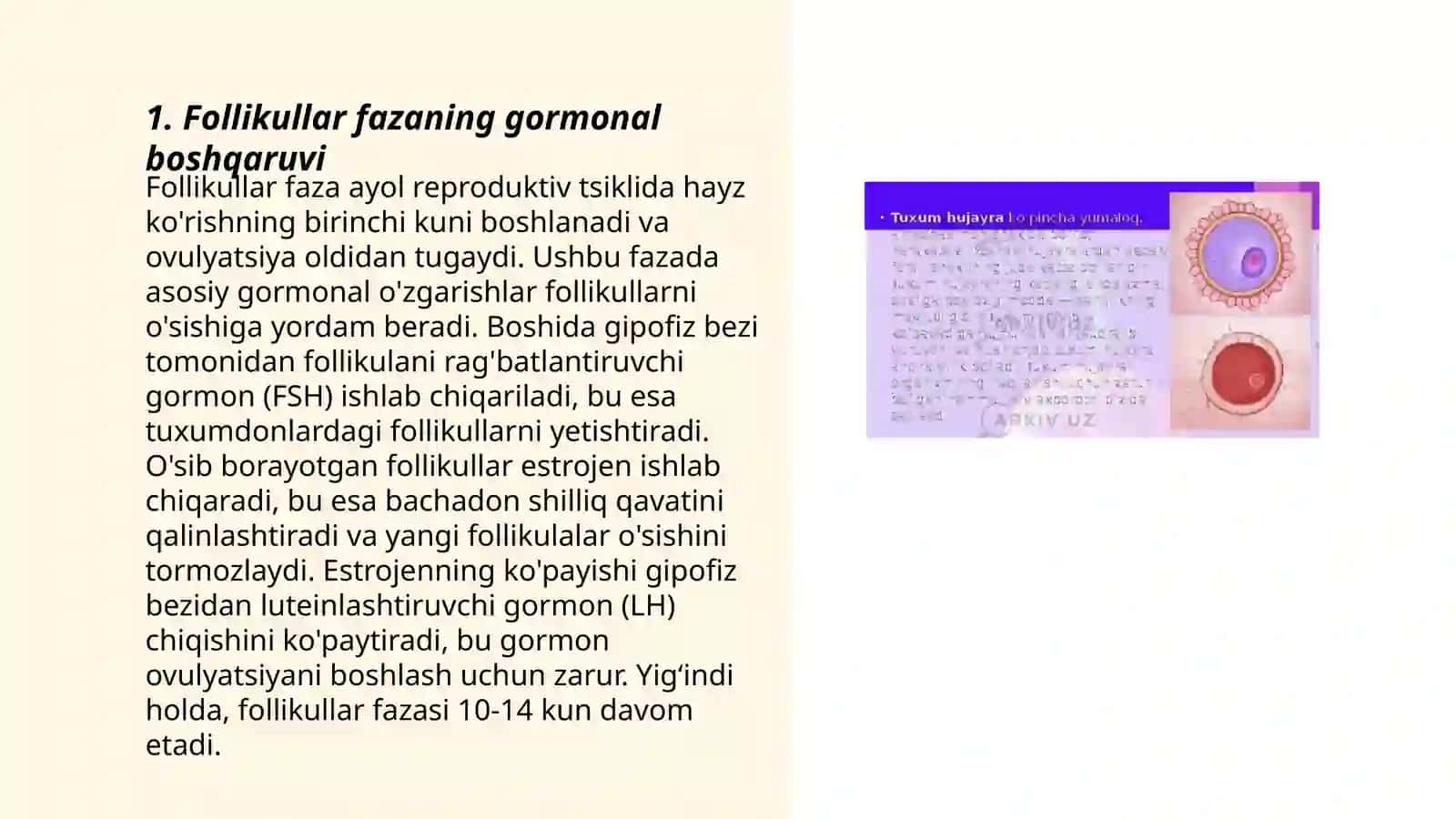 Follikullar fazaning gormonal boshqaruv mexanizmi 3