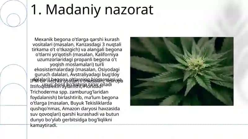 Begona oʻtlarga qarshi kurashish tadbirlari 3