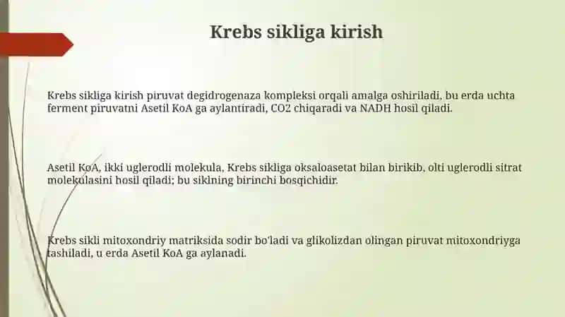 Krebs sikli.Uglevodlarning fosfat yog’li bilan oksidlanishi 3