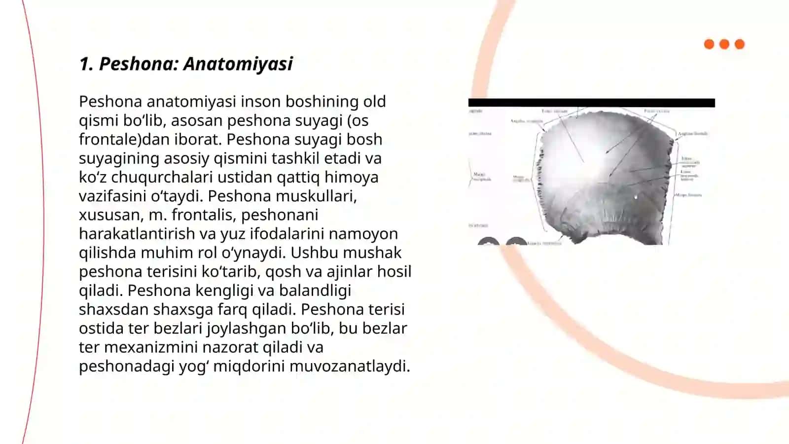 Peshona: Anatomiyasi 3