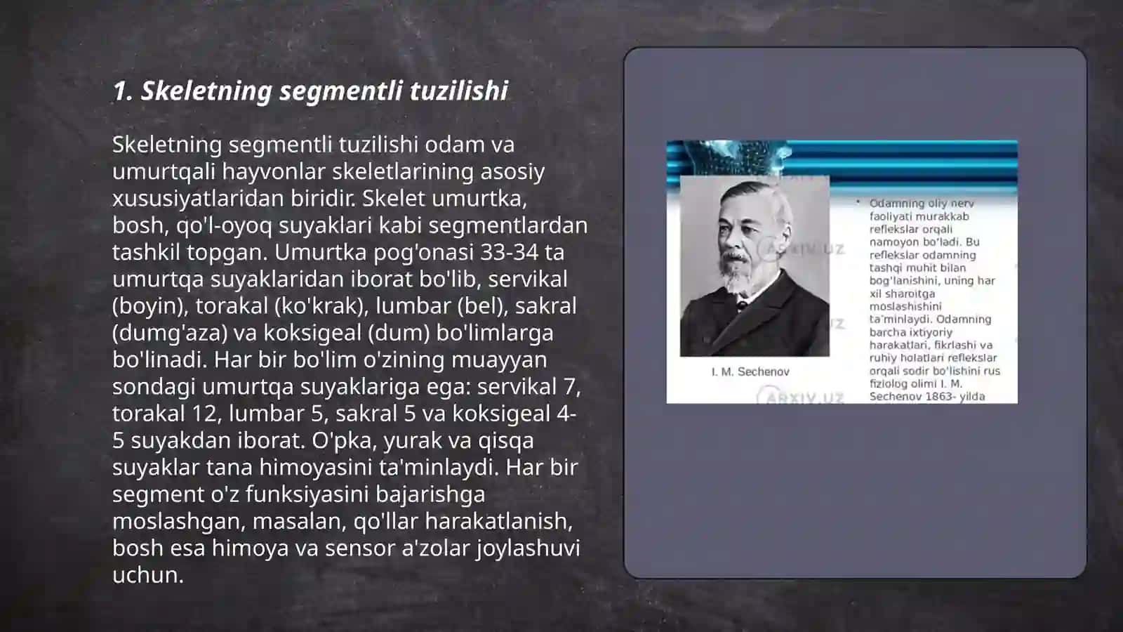Skeletni segmentli tuzilishi uning tuzilish prinsiplari umurtqa poğonasini yosh va jinsga nisbatan farqlari 3