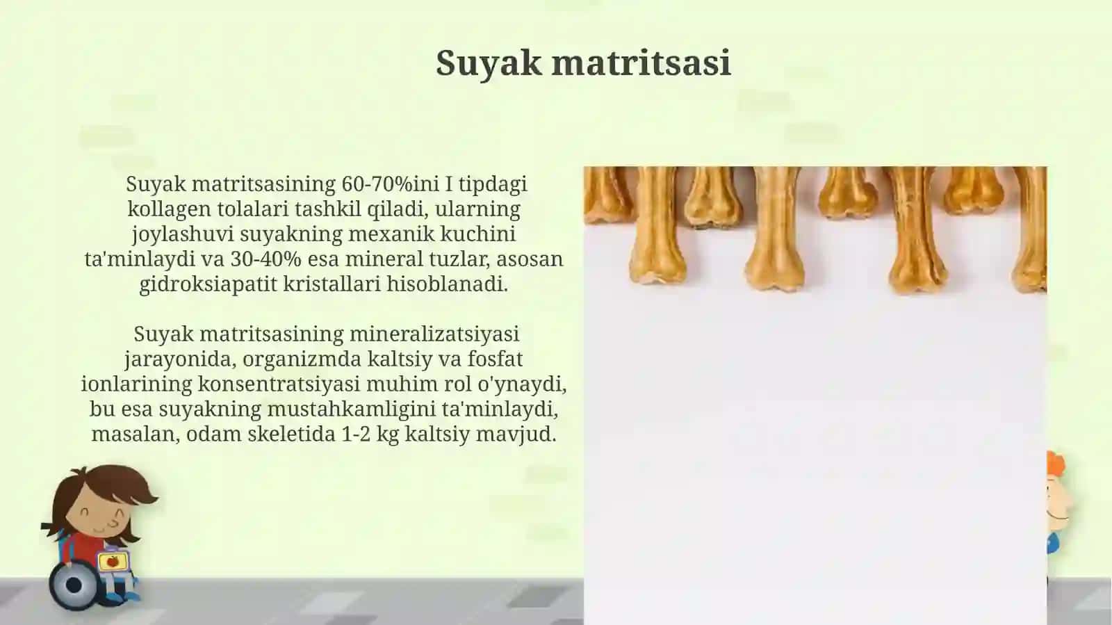 Suyak to'qimasi. Suyaklanish turlari. Suyaklarning birikish xillari 3