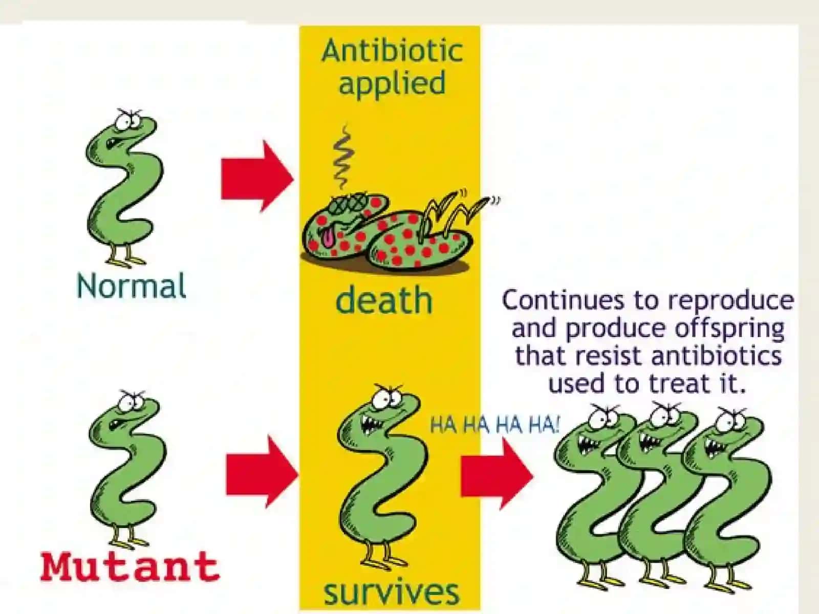3rd lecture in AntibioticsThe Antimicrobial Resistance Mechanisms 3