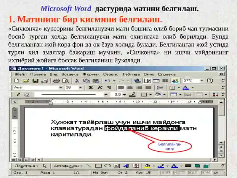 Microsoft Word 3