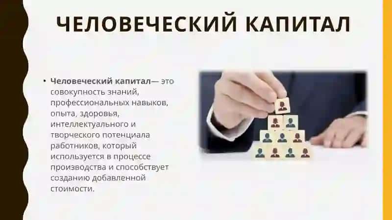 Человеческий капитал в промышленности 3