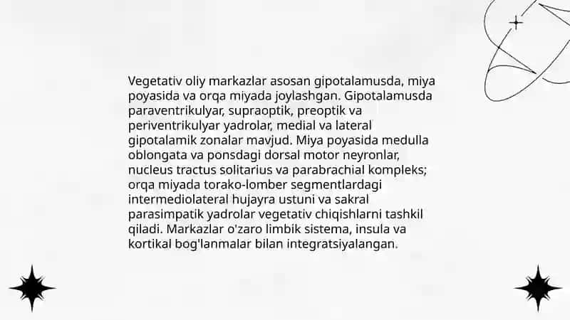 Vegitativ oliy markazlar Va ularning funksional ahamiyati 3