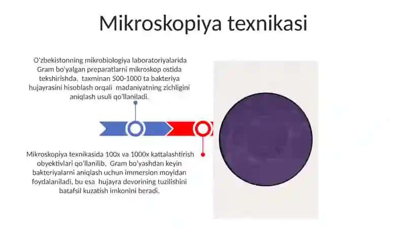 Gramm usulida bòyash va organizmlarni differensatsiya qilish 3