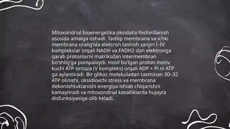 Mitoxondrial bioenergetika va ATP sintezi mexanizmi 3