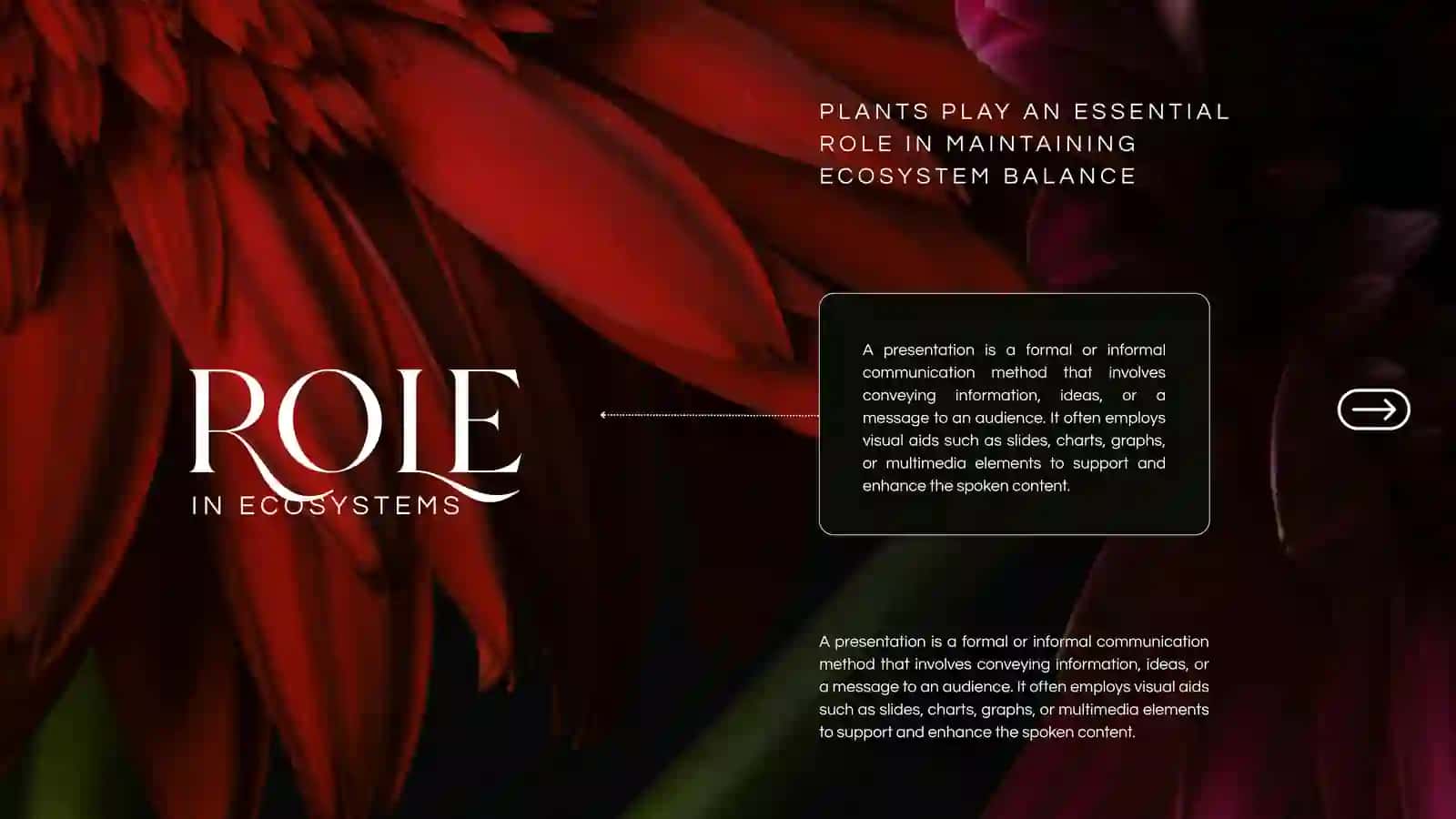 FloRa 3
