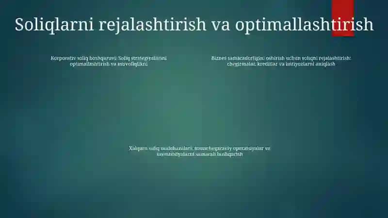 Korporativ Tuzilmalarda Soliq Menejmentini Tashkil Etish 3