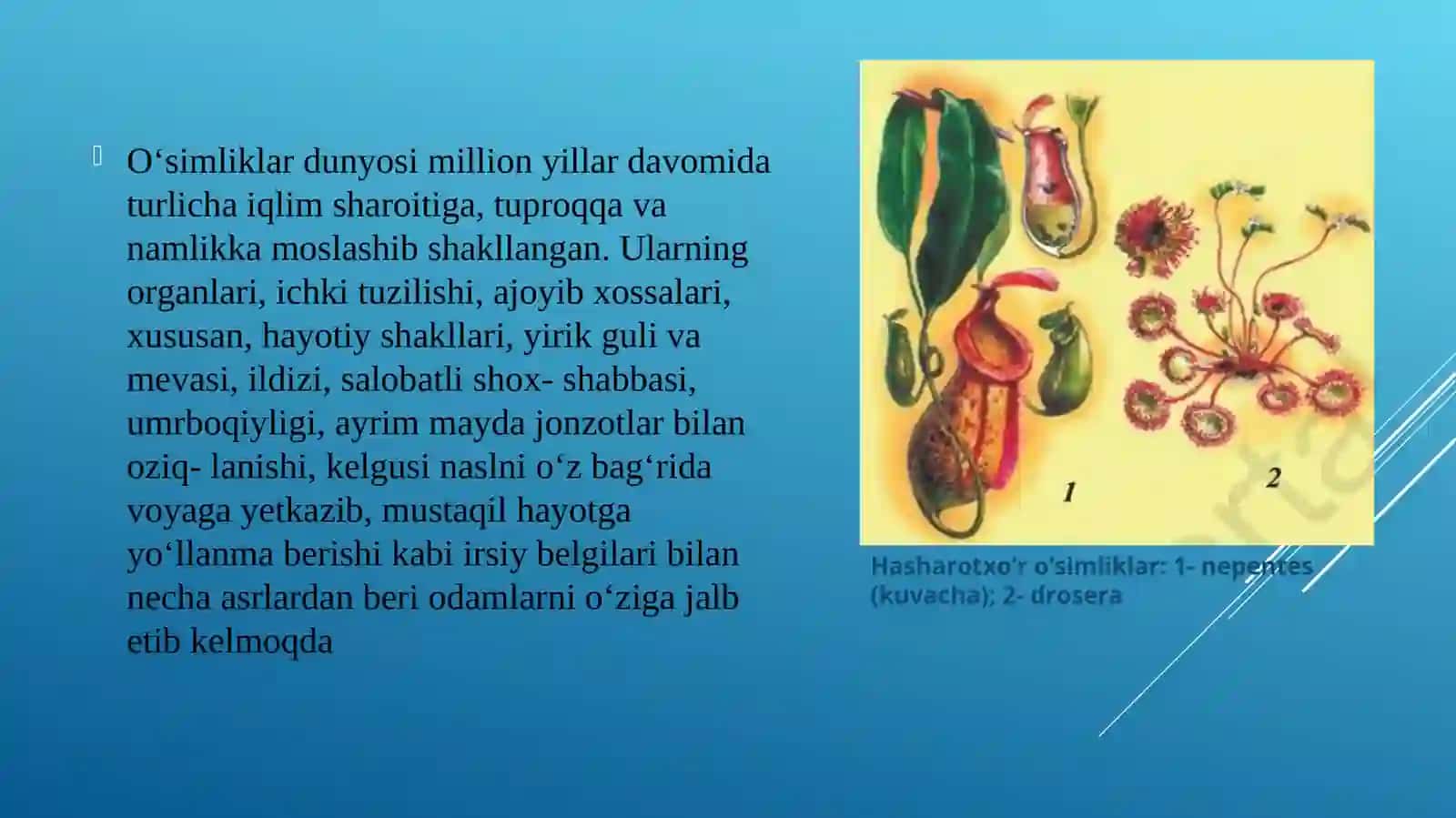 BOTANIKA FANIDAN TAYYORLAGAN KURS ISHI TAQDIMOTI 3
